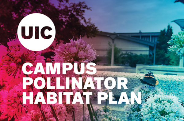 Campus Pollinator Habitat Plan