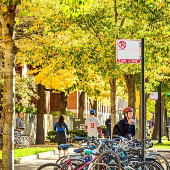 Bicycles in a rack