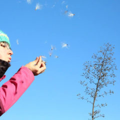Person blowing seeds into the air