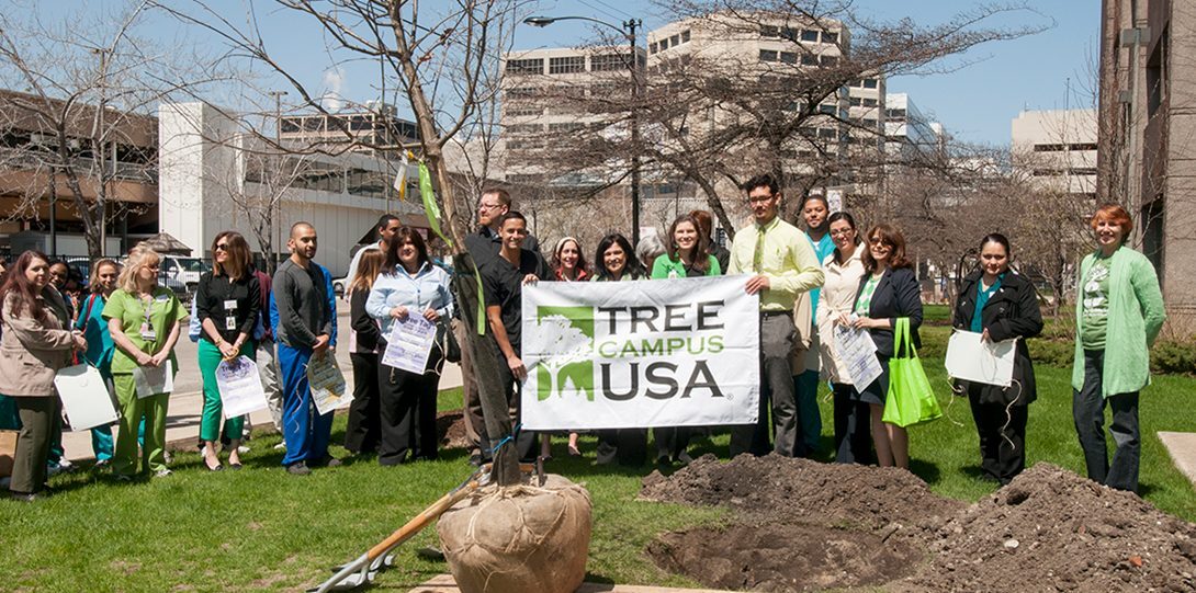 College of Medicine Tree Planting 2014