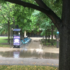 Daley Library flooded outside