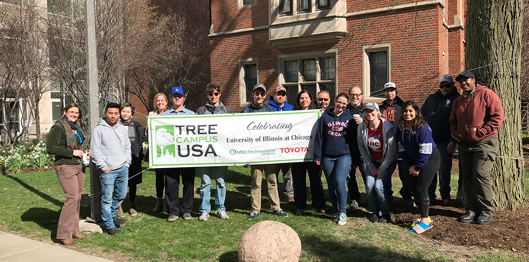 College of Medicine Tree Planting 2018